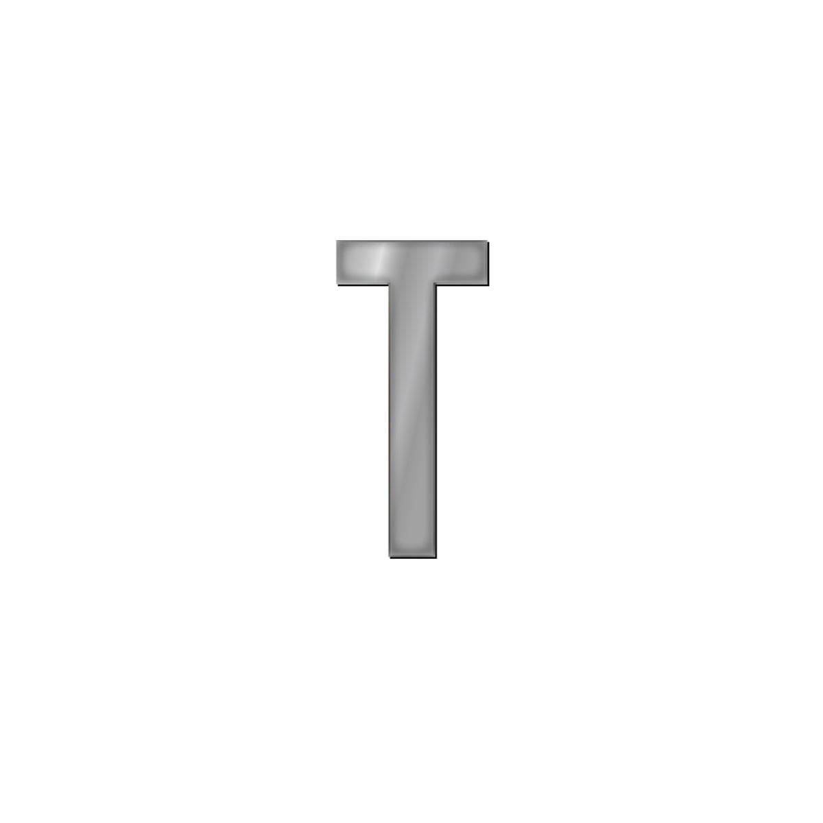 チャーム バンドラージイニシャル シルバー T