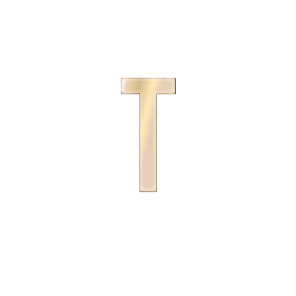 チャーム バンドラージイニシャル ゴールド T